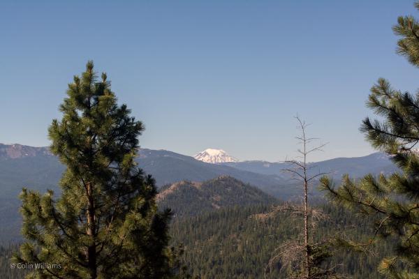 Mt. Rainier in the distance, past rolling hills.