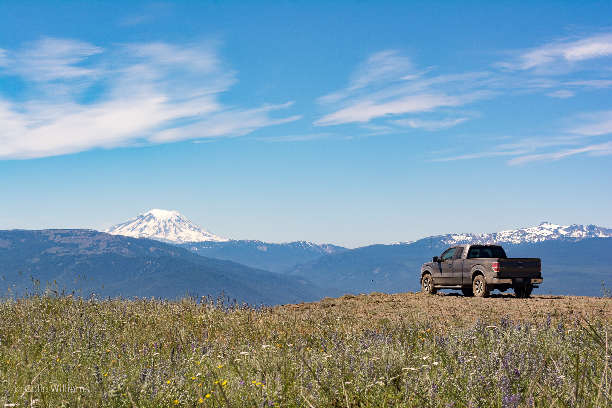 Pickup truck parked facing snow-capped mountain in the distance. Wildflowers in the immediate foreground.